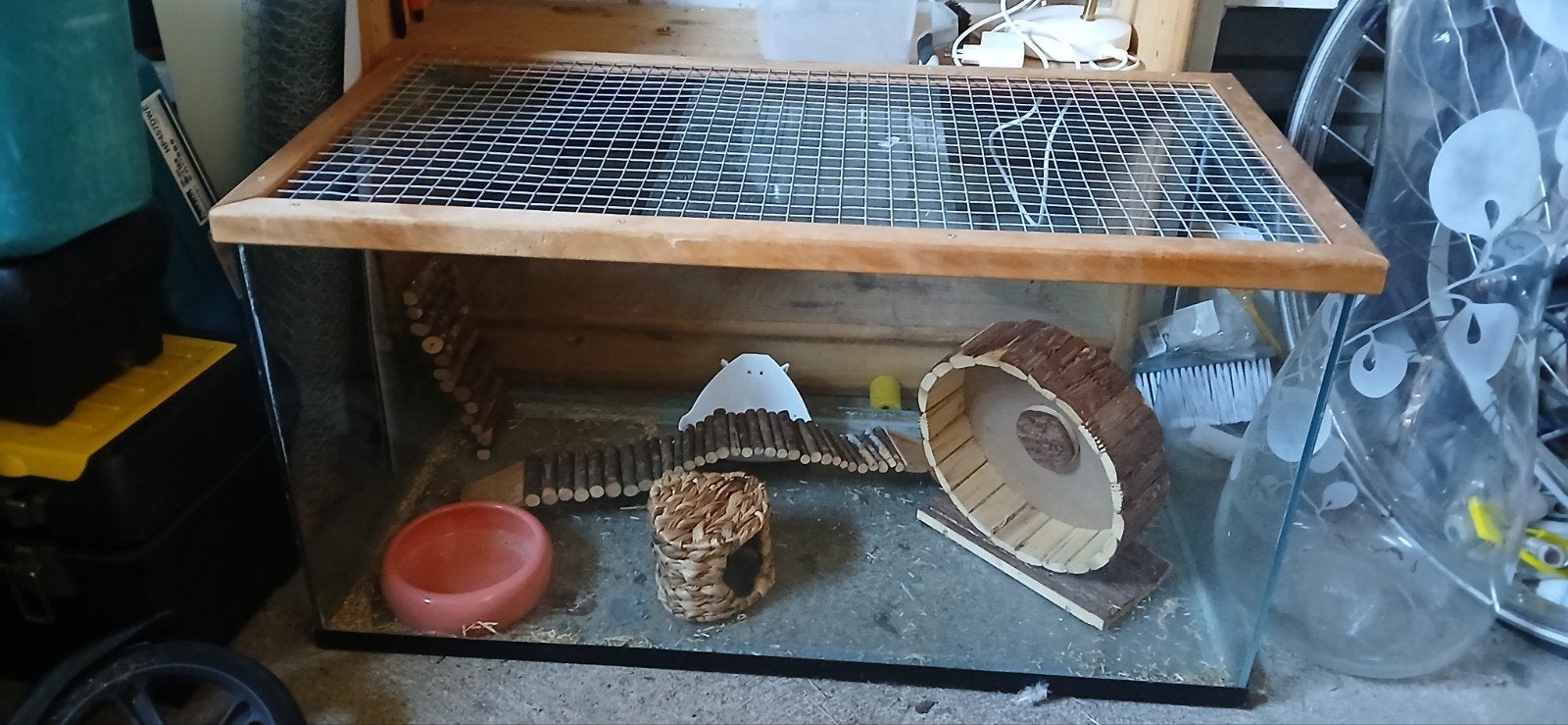 hamster terrarium, Dieren en Toebehoren, Ophalen, Hok, Hamster, Minder dan 60 cm
