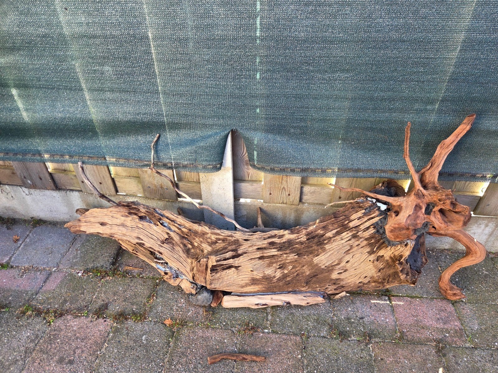 groot stuk keien hout voor groot aquarium, Ophalen, Plant(en), Steen of Hout