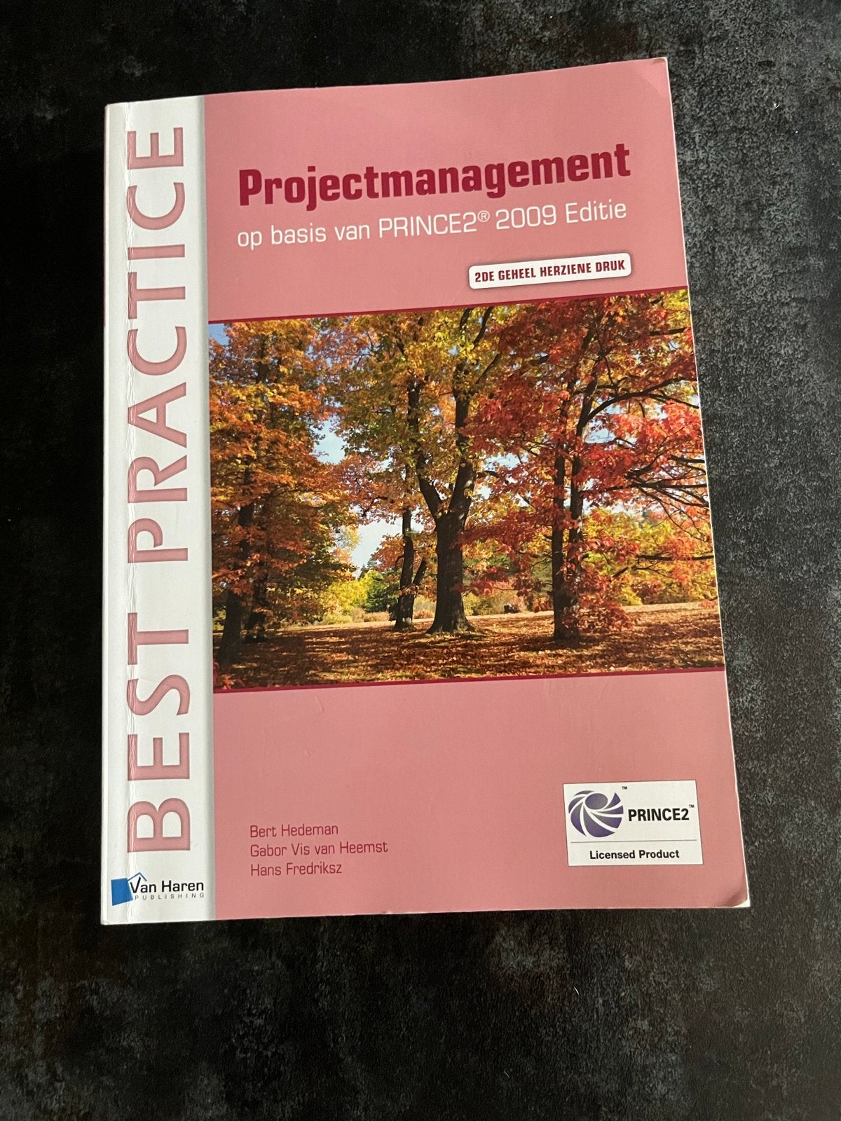 Projectmanagement op basis van PRINCE2 2009 Editie, Ophalen of Verzenden, Zo goed als nieuw, HBO