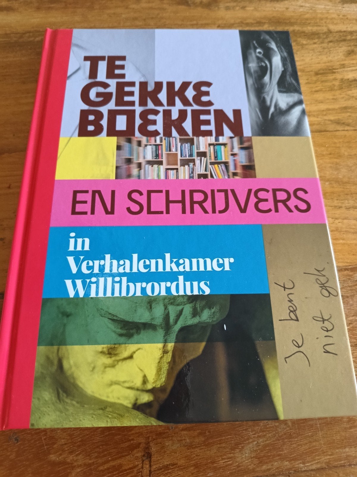 te gekke boeken en schrijvers in verhalen kamer Willibrord, Ophalen of Verzenden, Nederland