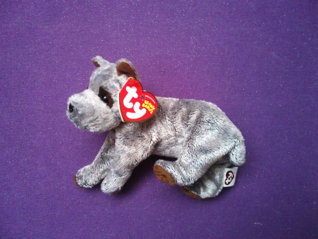 TY THE BEANIE BABIES COLLECTION Knuffel HOND HECTOR UIT 2005, Overige karakters, Overige typen, Nieuw, Ophalen of Verzenden