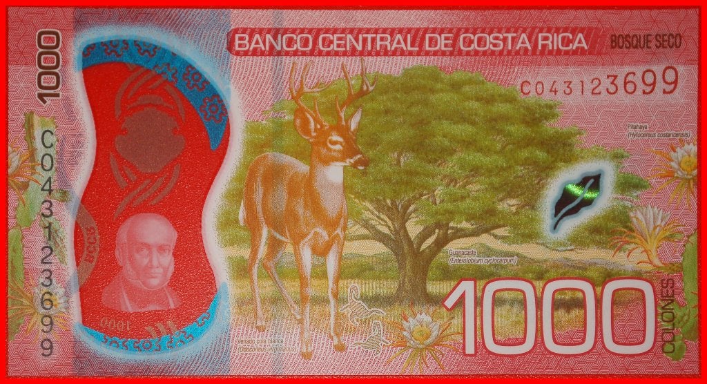 Ⰺ SWITZERLAND 2019: COSTA RICA 1000 COLONES 2021! DEER! UNC!, Ophalen of Verzenden, Midden-Amerika, Los biljet