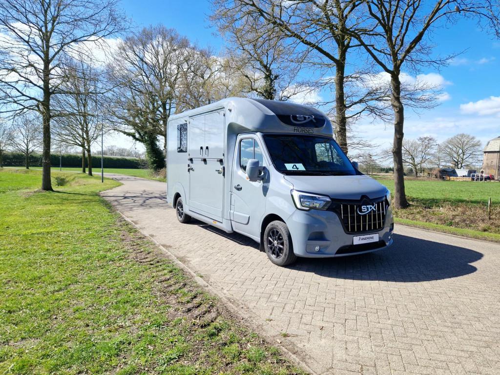 Renault Master STX S3 paardenwagen Pro-Safety hengsten uitvo, Gebruikt, Overige typen