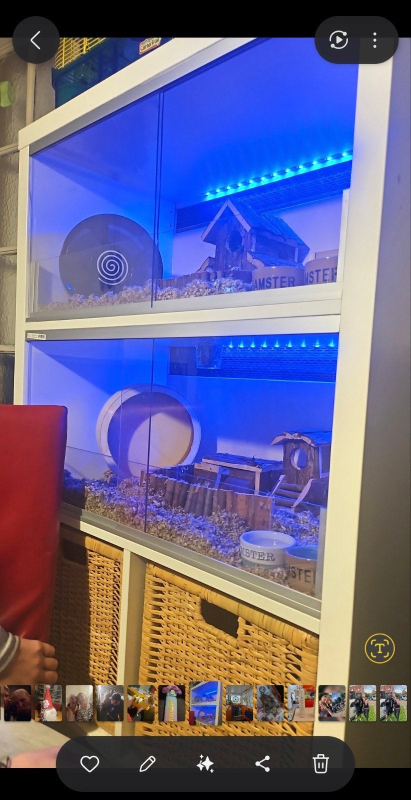 Knaagdieren kooi gemaakt van een Ikea Kallax kast, Ophalen, Kooi, Gebruikt, Muis