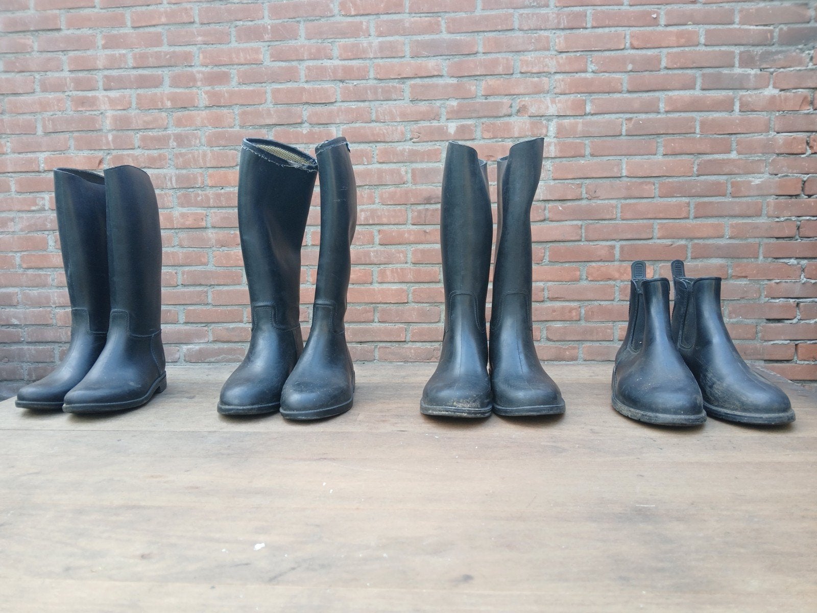 Paardrijlaarzen, Dieren en Toebehoren, Paardrijkleding, Ophalen of Verzenden, Overige soorten, Schoeisel