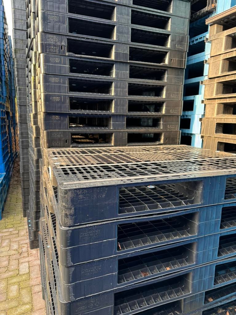 1500 stuks Kunststof pallets 120x100x12 cm, Ophalen, Divers, 100 cm of meer, 60 cm of meer