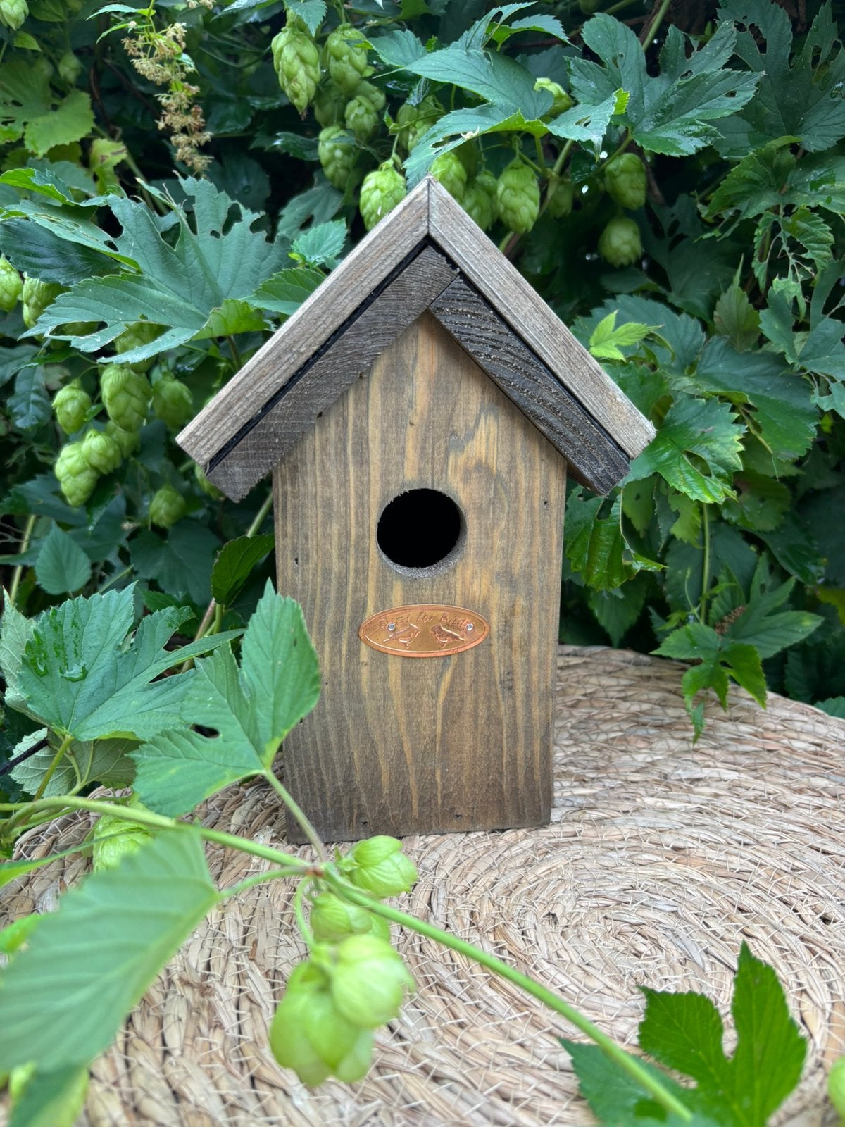 Vogelhuisje, Ophalen of Verzenden, Nieuw