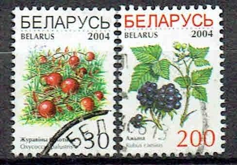 Belarus 2004 Vruchten kersen bramen, Postzegels en Munten, Postzegels | Thematische zegels, Gestempeld, Dier of Natuur, Verzenden