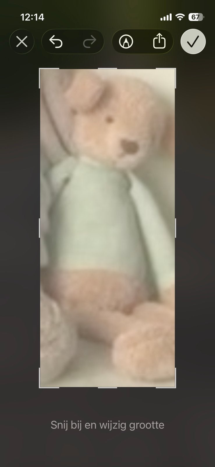 Gezocht  deze verloren knuffel…, Ophalen of Verzenden, Zo goed als nieuw, Zwangerschap en Bevalling