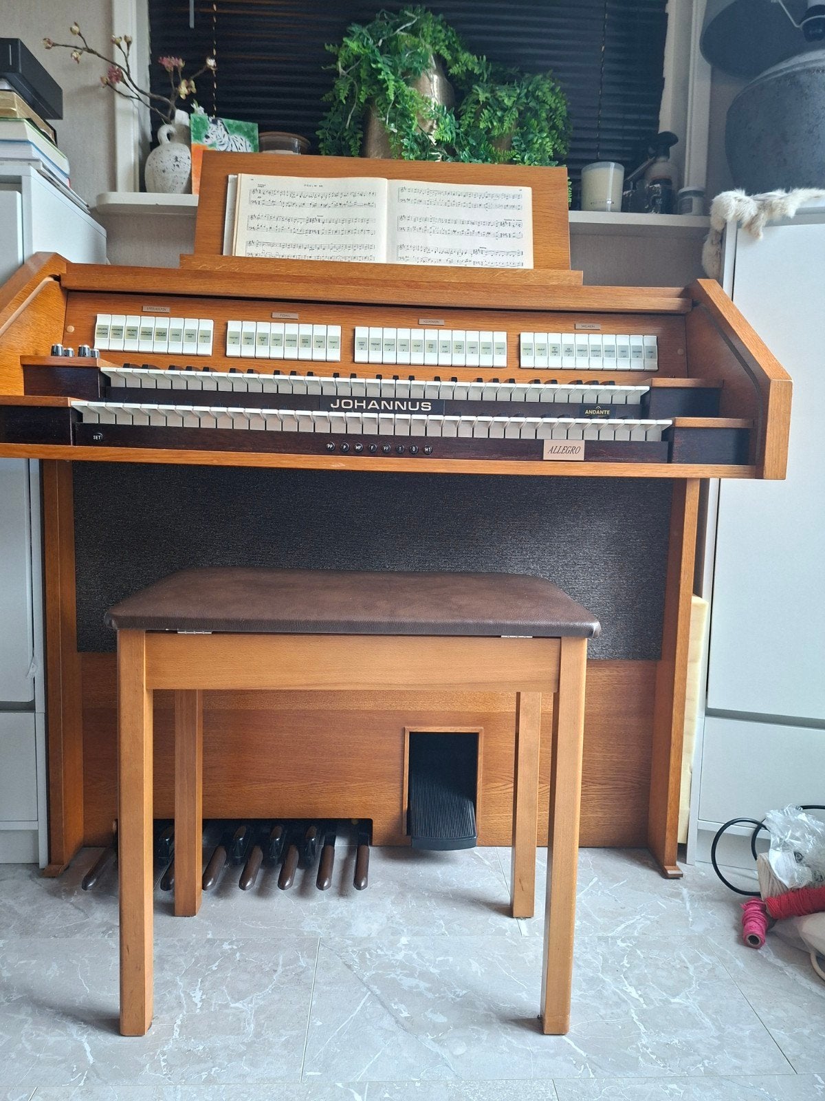 johannes alegro orgel, Muziek en Instrumenten, Orgels, Gebruikt, Orgel, Ophalen, 2 klavieren
