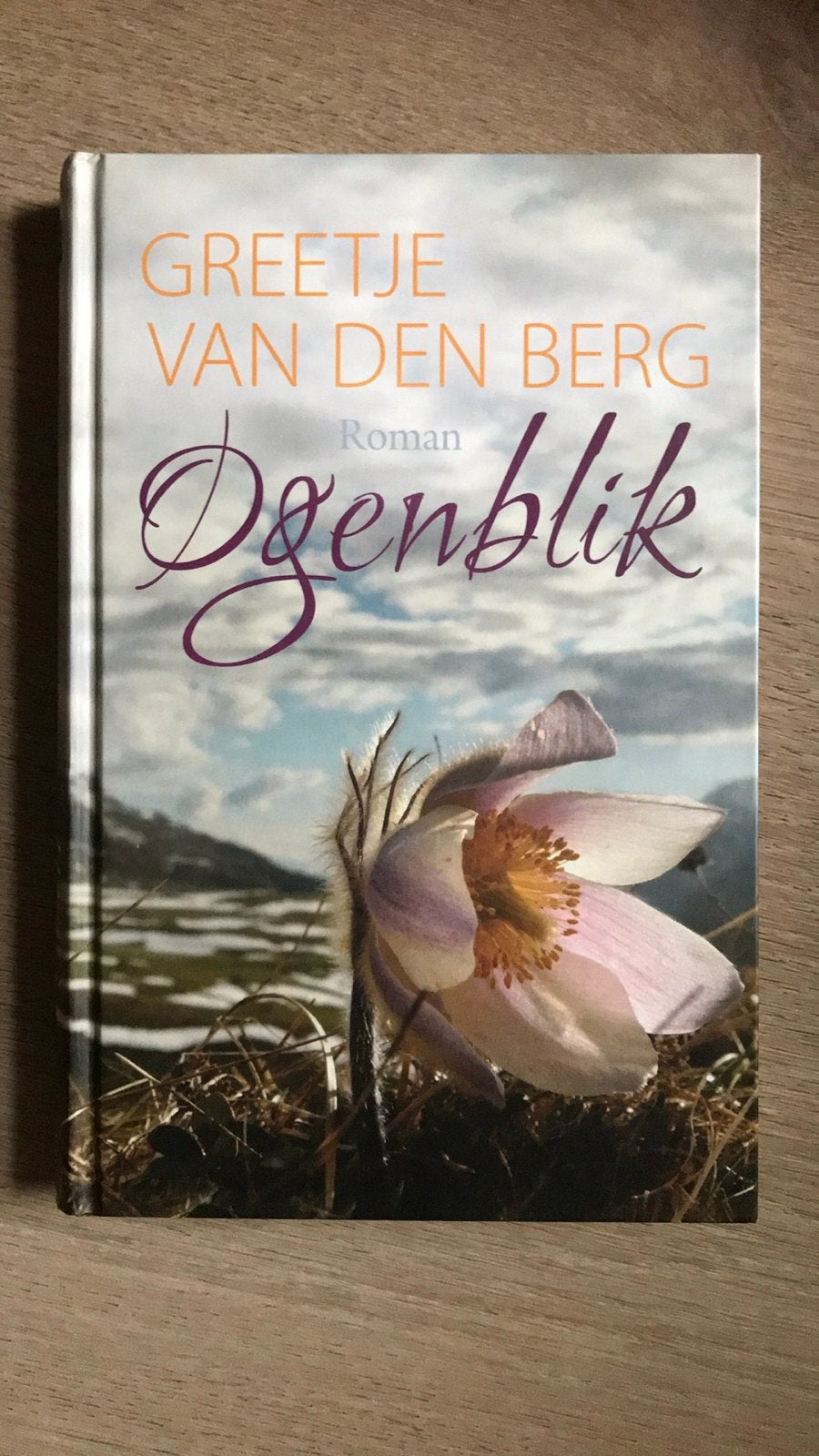 Ogenblik - Greetje van den Berg (Roman), Ophalen, Zo goed als nieuw, Nederland