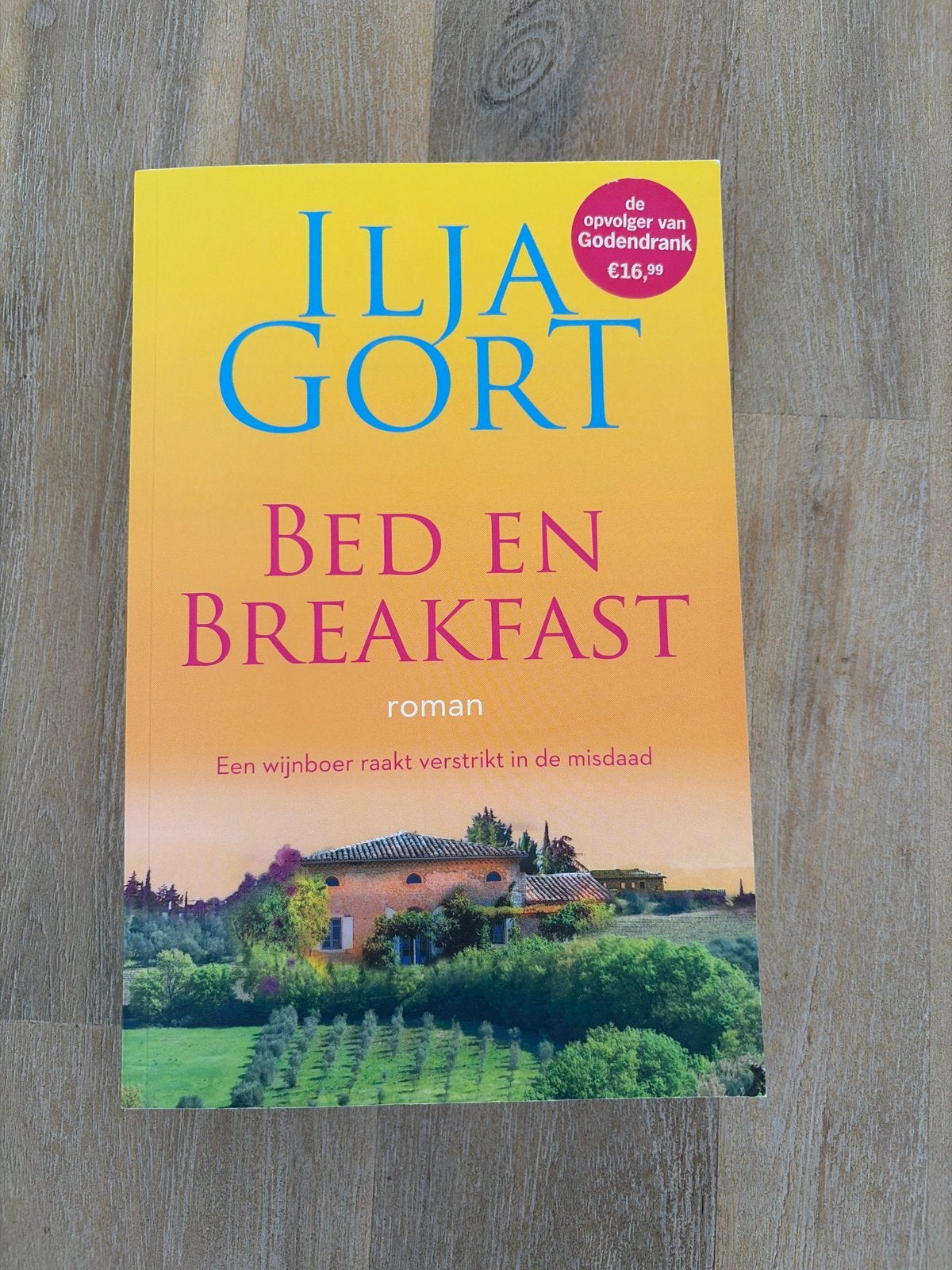 Ilja Gort - Bed en Breakfast (roman), Ophalen of Verzenden, Zo goed als nieuw, Nederland