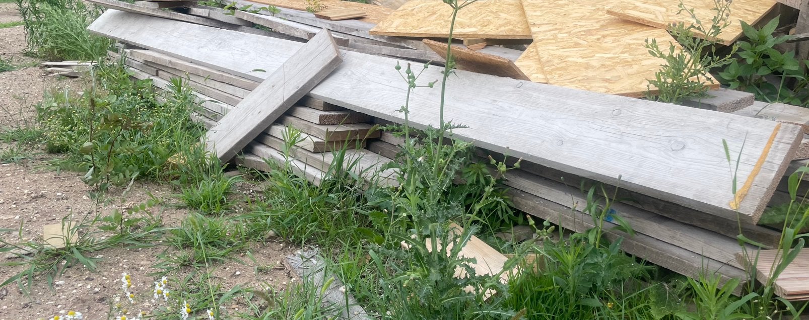 Steiger houten planken, Ophalen, Minder dan 25 mm, Zo goed als nieuw, Plank