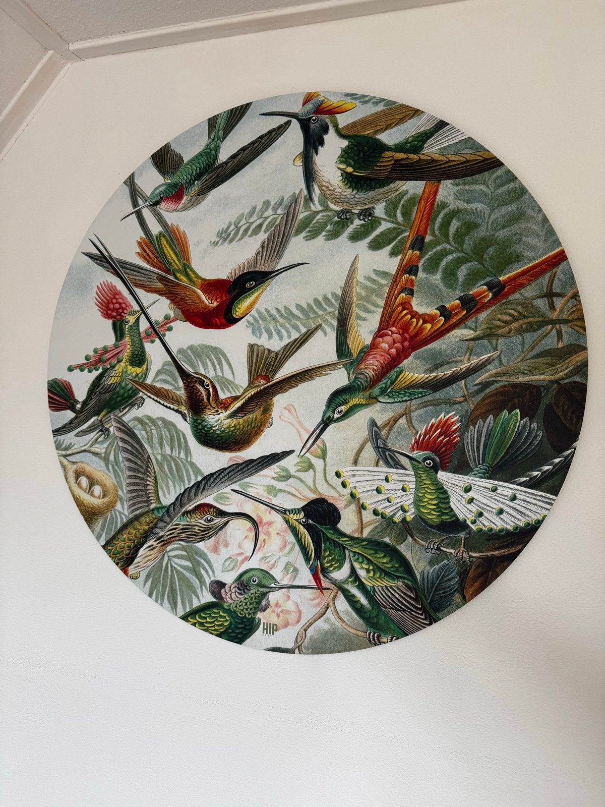 Rond schilderij kolibries 100 cm omtrek, Huis en Inrichting, Woonaccessoires | Schilderijen, Tekeningen en Foto's, Ophalen, Zo goed als nieuw