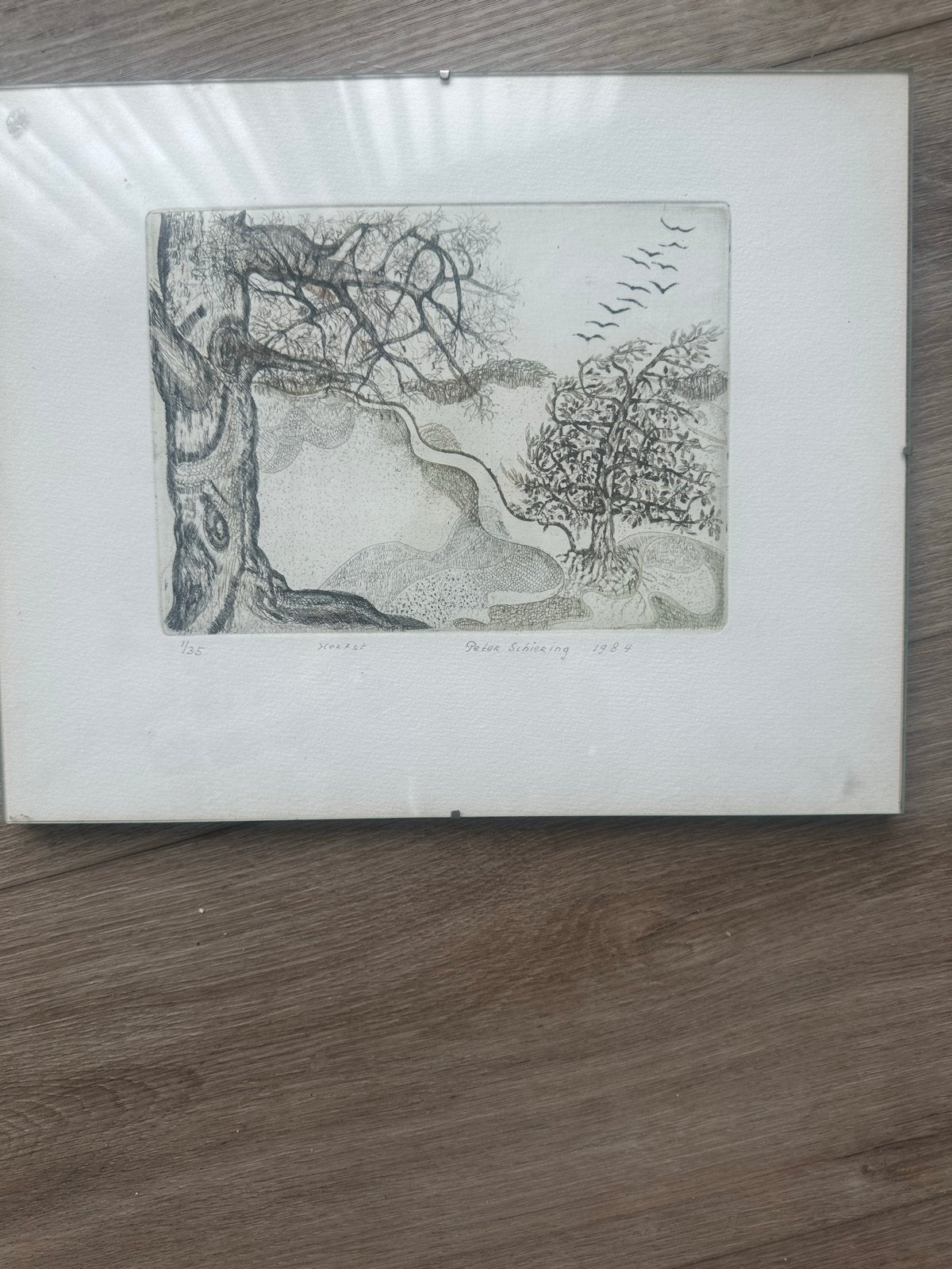 Pieter Schiering - Herfst (1984) - Haagse graficus, Ophalen of Verzenden, Gesigneerd, Landschap, 1950 - 1999