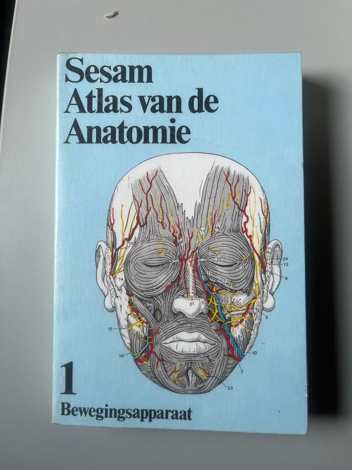 Sesam Atlas van de Anatomie 1: Bewegingsapparaat, Ophalen of Verzenden, Gelezen, Natuurwetenschap