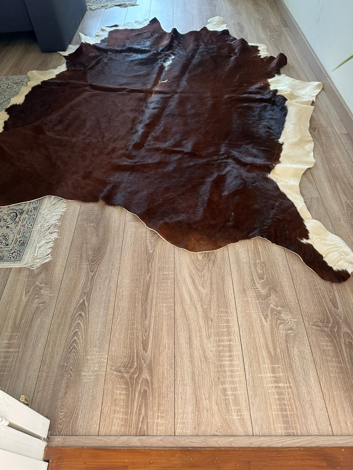 Koeienhuiden, Ophalen, Zo goed als nieuw, Rechthoekig, 200 cm of meer
