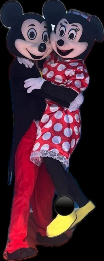 mickey en minnie mouse mascotte  - te huur, Verzenden, Gebruikt, Pak of Jurk