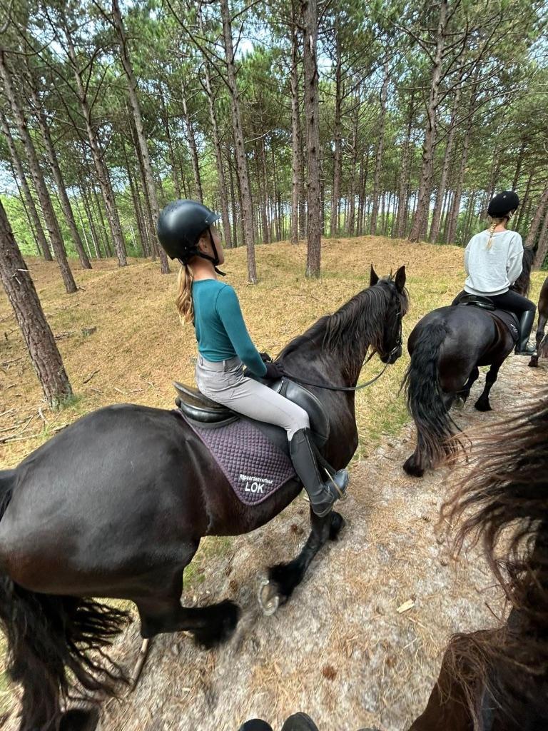 stalhulp, Dieren en Toebehoren