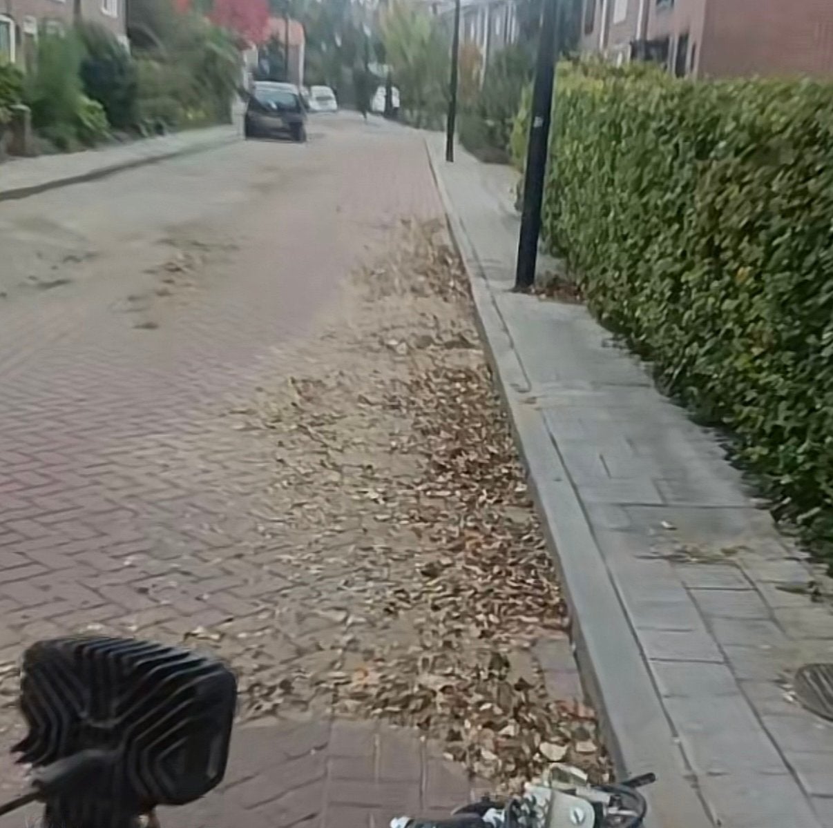 Veegwerkzaamheiden, Tuin en Terras, Ophalen of Verzenden, Gebruikt