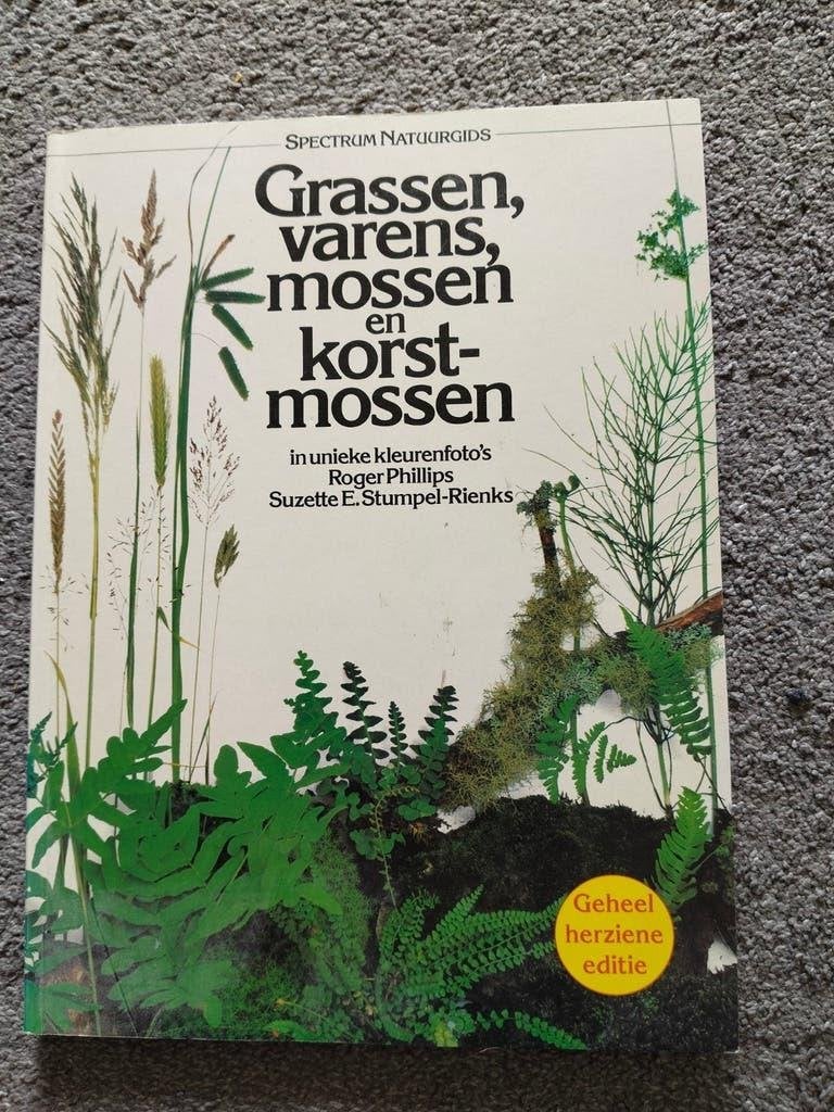 Roger Phillips - Grassen, varens, mossen en korstmossen, Boeken, Overige wetenschappen, Ophalen of Verzenden, Zo goed als nieuw