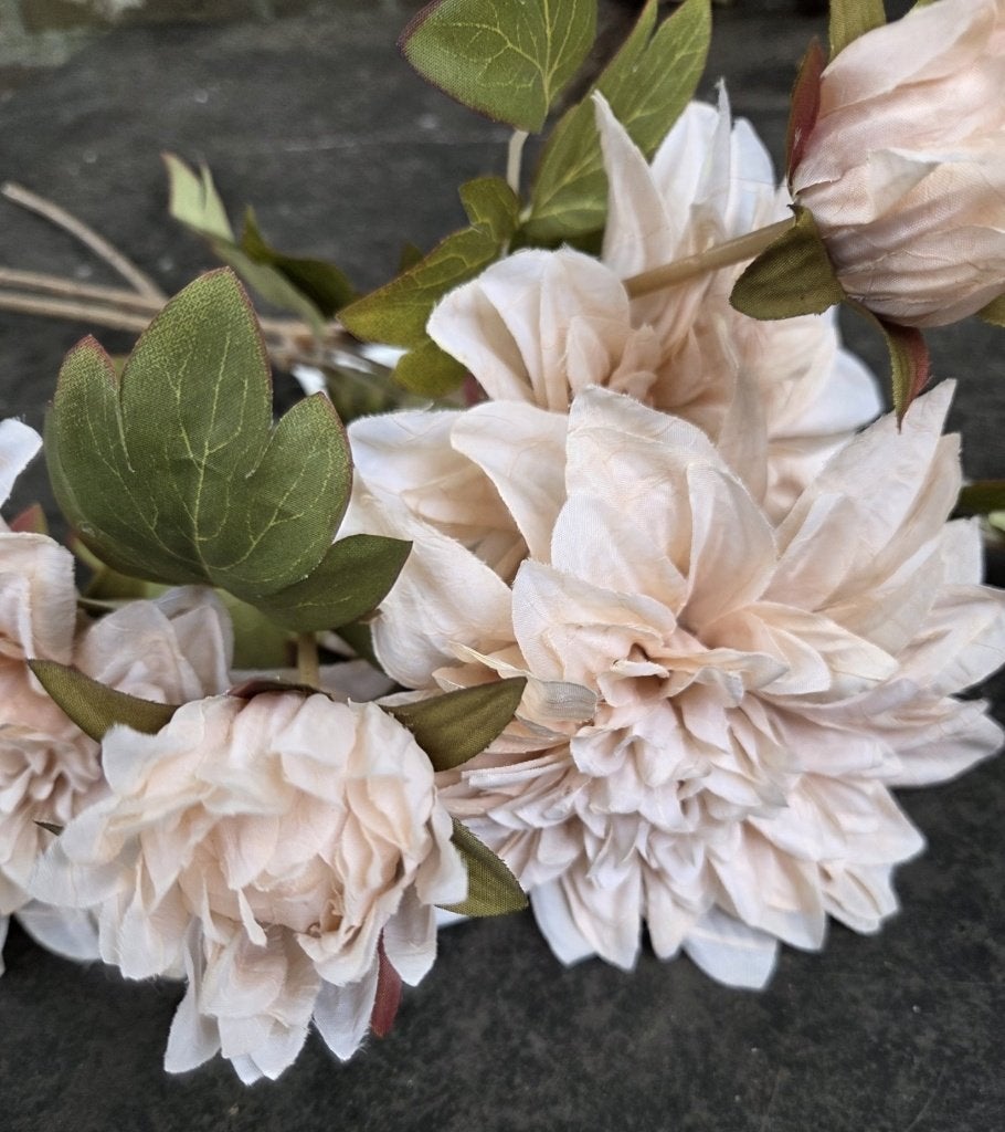 DAHLIA - KUNST - BLOEM & KNOP - 2 KLEUREN