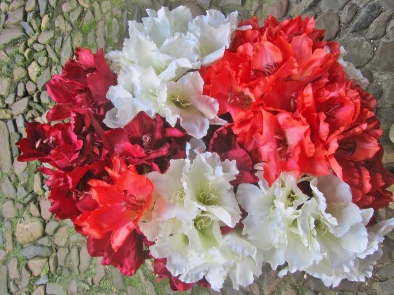 AMARYLLIS - KUNST TAK - 2 KLEUREN, Ophalen of Verzenden, Nieuw