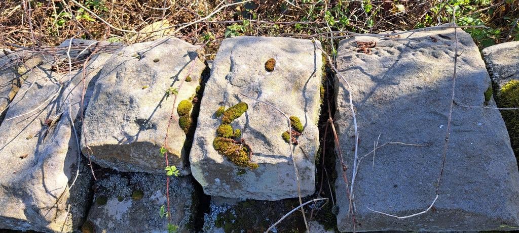 Natuurlijke Bentheimer zandstenen /putstenen, Tuin en Terras, Grind, Keien en Split, Gebruikt, Kei, Grijs, Zandsteen, Ophalen