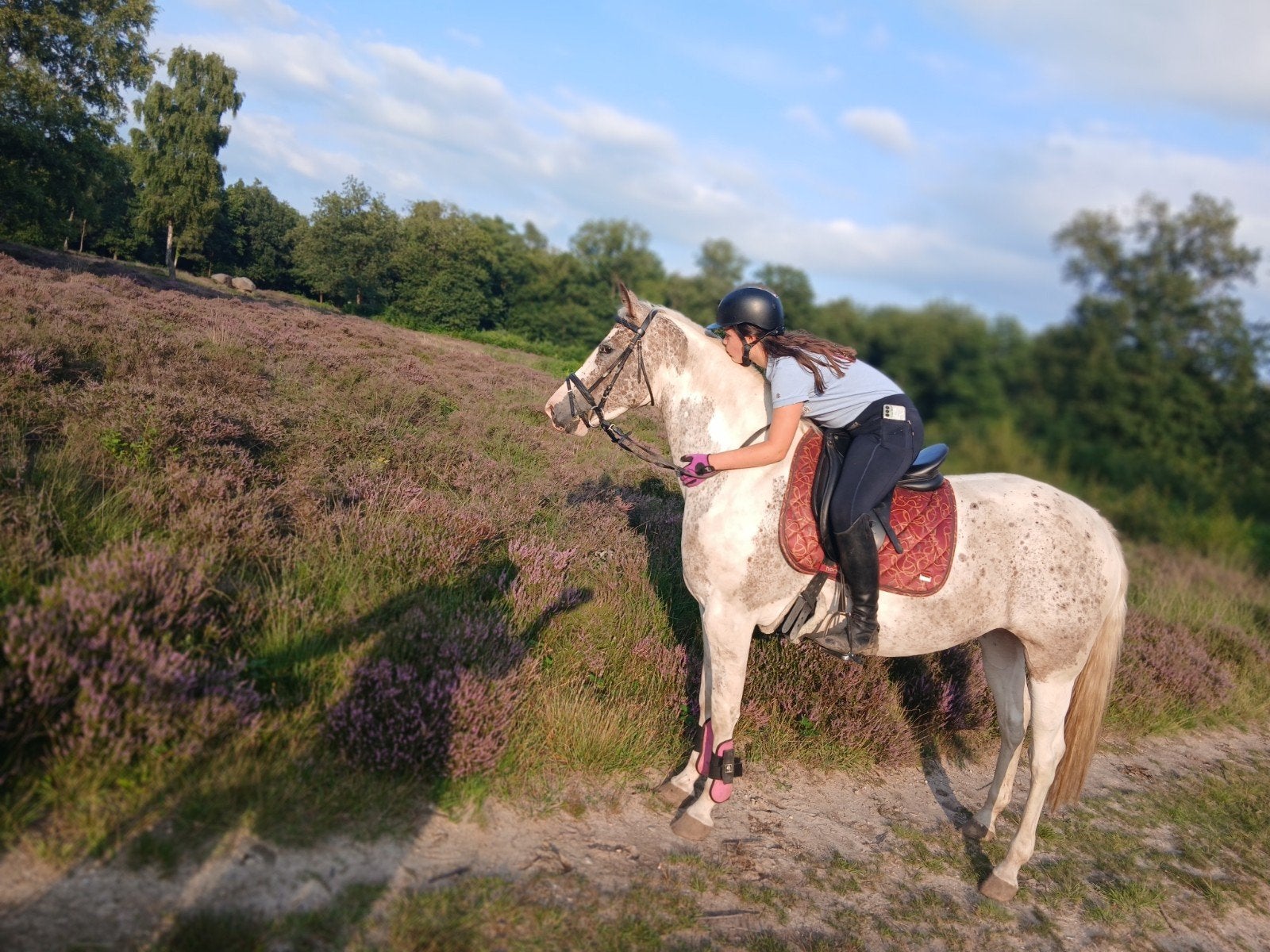 Prachtige E-pony, Dieren en Toebehoren, Merrie