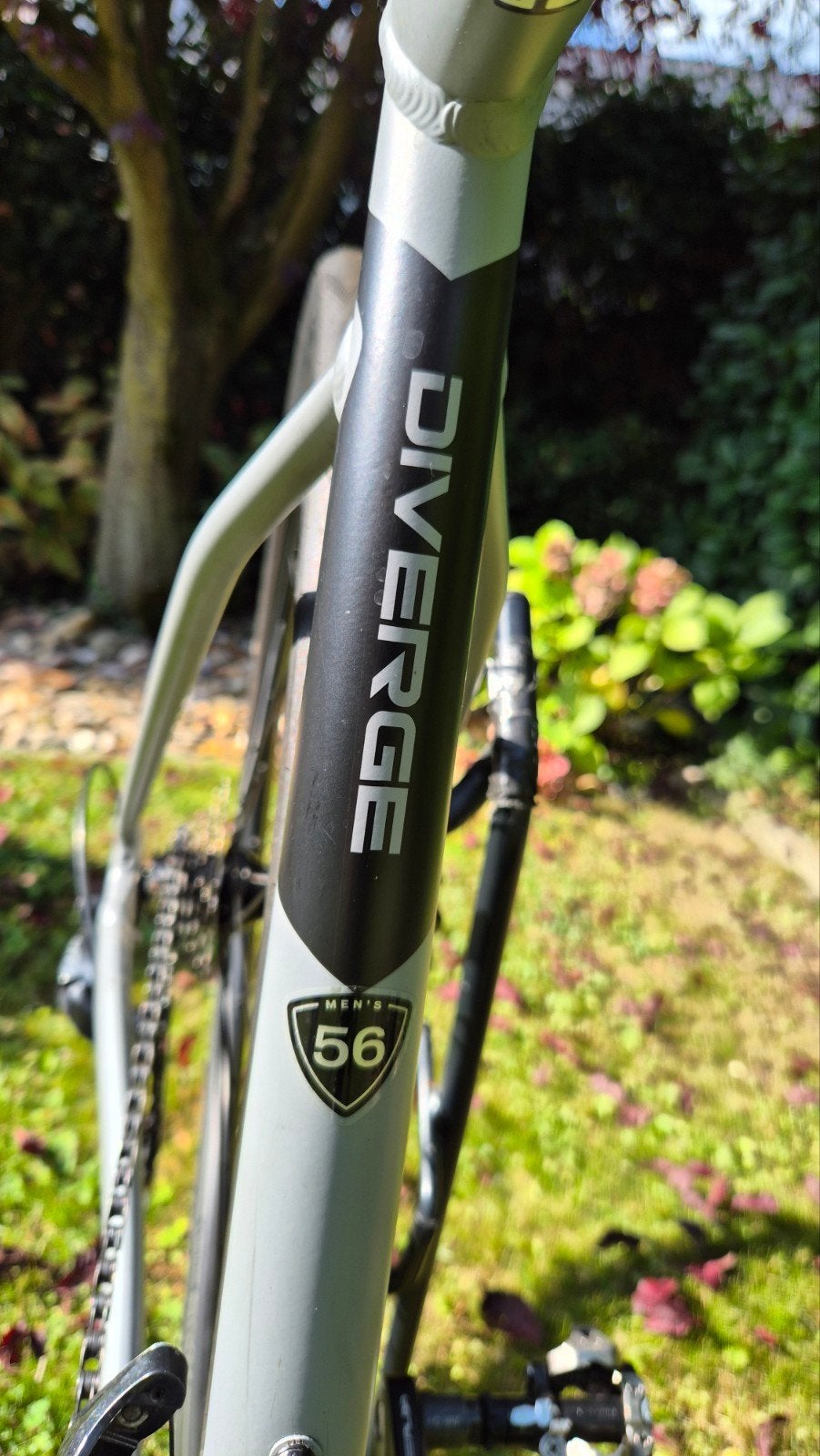 Foto 4 van Specialized Diverge 56 Allu frame Matgrijs