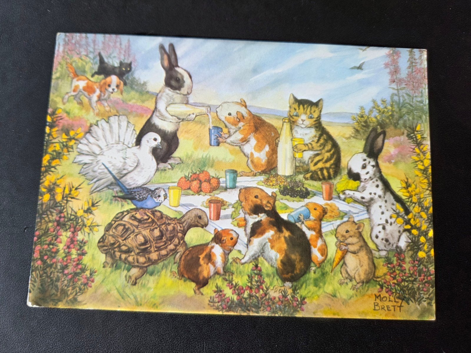Dieren Picknick - Molly Brett, Verzenden, 1980 tot heden, Gelopen, Kinderen