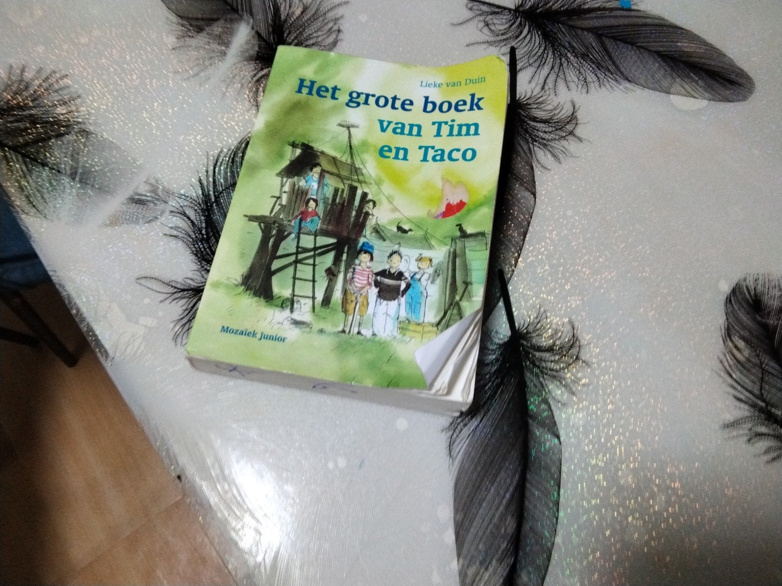 Het grote boek van Tim en Taco - Lieke van Duin