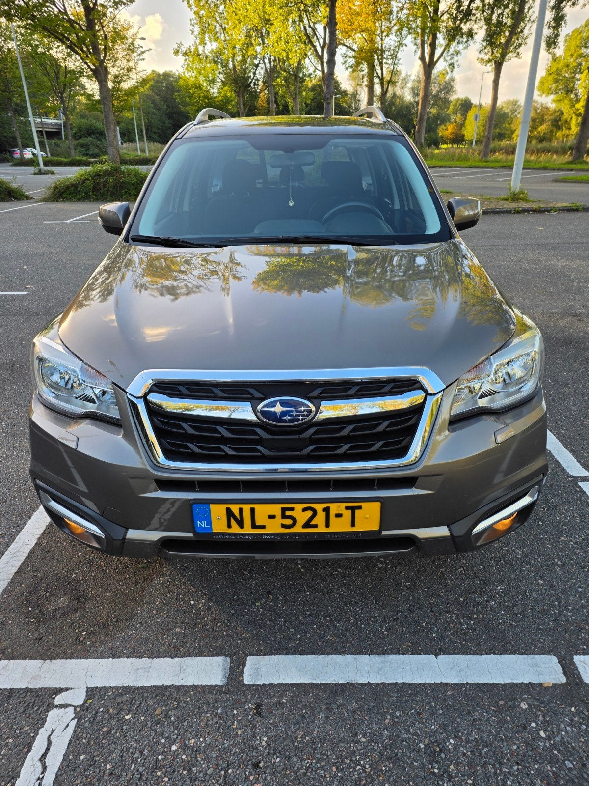 Subaru Forester 2.0 AWD CVT 2017 Bruin //    76751 KM, Auto's, Automaat, 15 km/l, 1995 cc, 4 cilinders