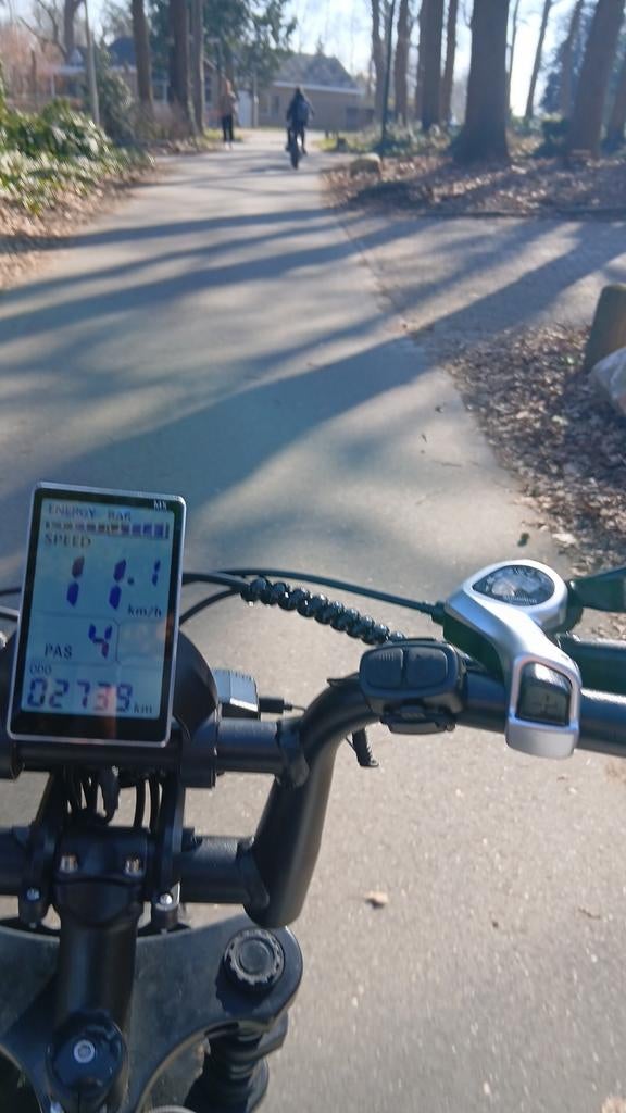 Fatbike met achterzitje, extra accu en custom onderdelen, Minder dan 49 cm, Zo goed als nieuw, Schijfrem, Ophalen