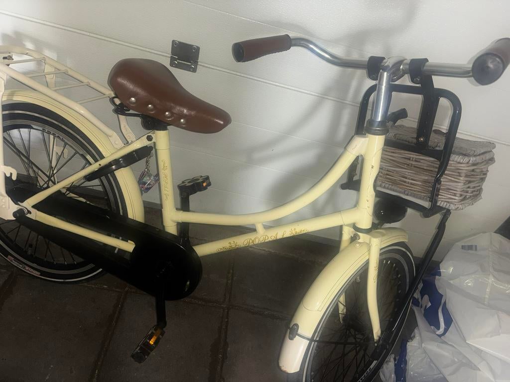 Leuke meiden fiets, Fietsen en Brommers, Fietsen | Meisjes, Ophalen of Verzenden, Gebruikt, 20 inch
