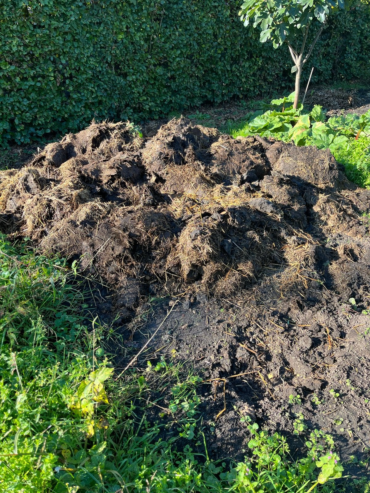Verse paardenmest voor uw tuin ca. 2 m3, Tuin en Terras, Ophalen of Verzenden, Mest