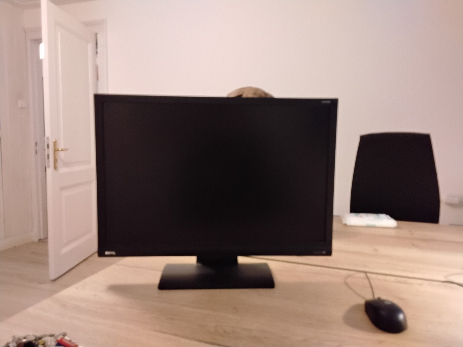 BenQ GL2460HM 24 inch LCD Monitor, Ophalen, Full HD, 60 Hz of minder, LED