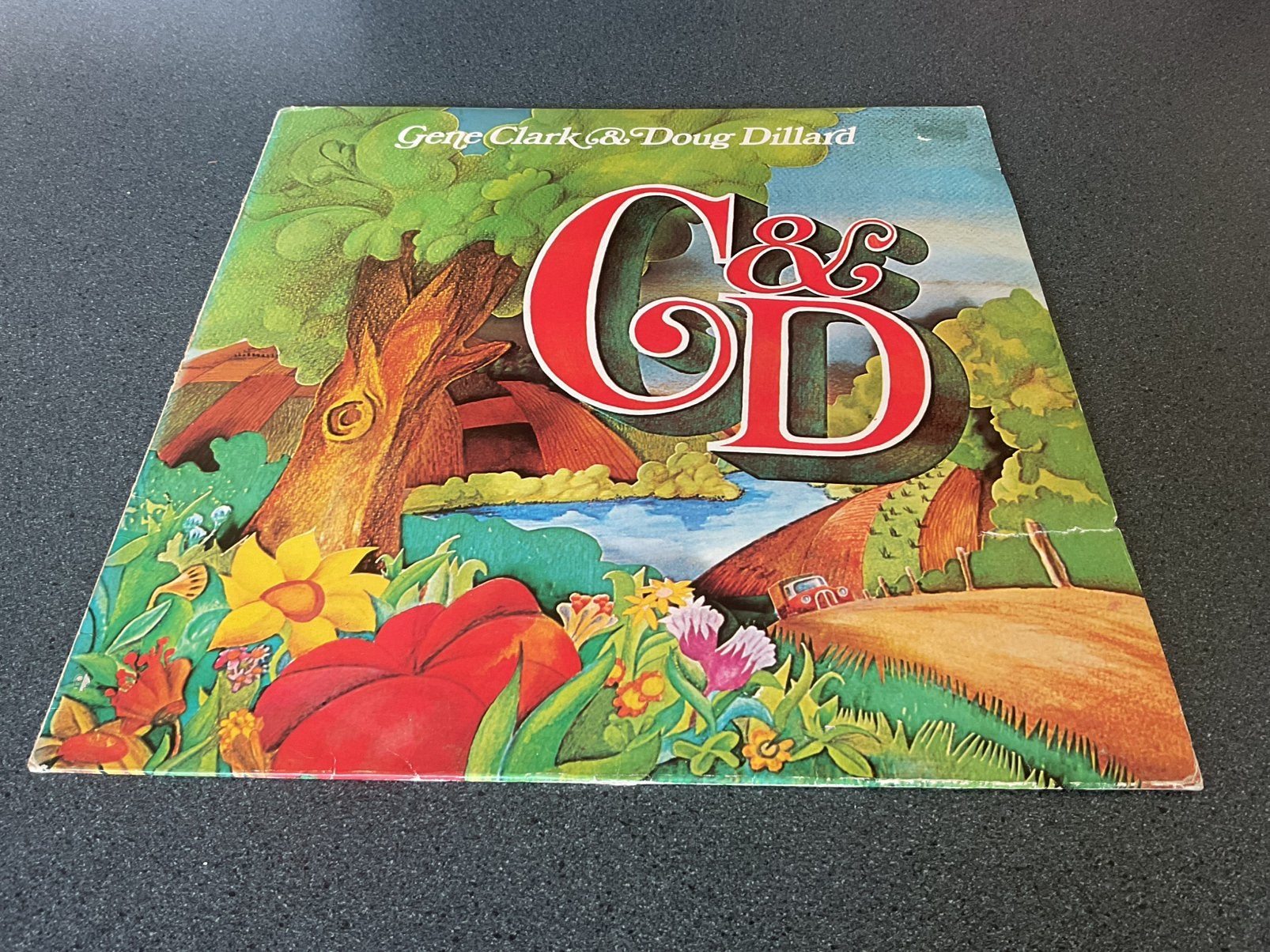 Gene Clark & Doug Dillard - idem Vinyl LP, Ophalen of Verzenden, Gebruikt, 12 inch, Poprock