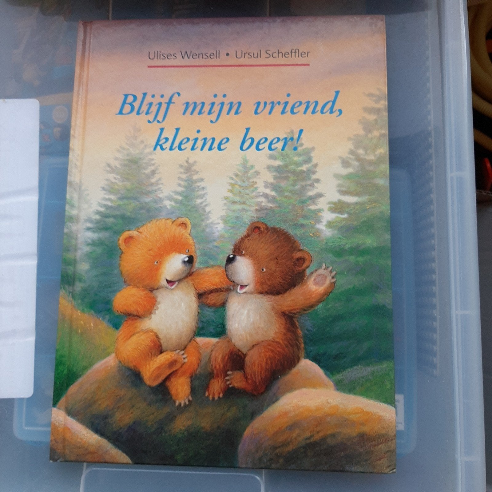 boek Blijf mijn vriend kleine beer, Wensell & Scheffler, Ophalen of Verzenden