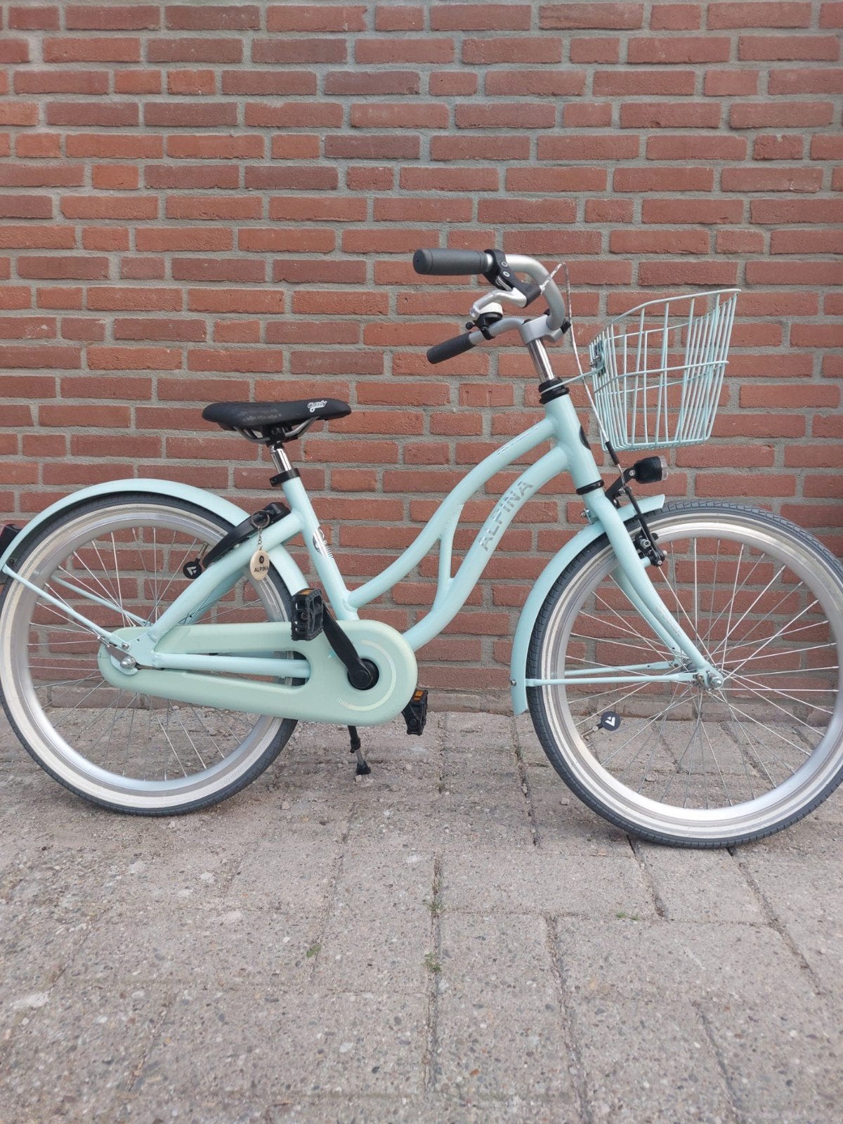 Alpina Ocean 22 inch kinderfiets - mintgroen, z.g.a.n., Ophalen, Zo goed als nieuw, 20 inch of meer, Alpina
