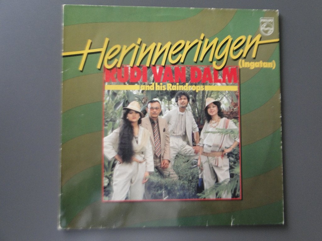 2 Lp,s van Rudy van Dalm samen voor 4 € aangeboden., Ophalen of Verzenden, Gebruikt, 12 inch