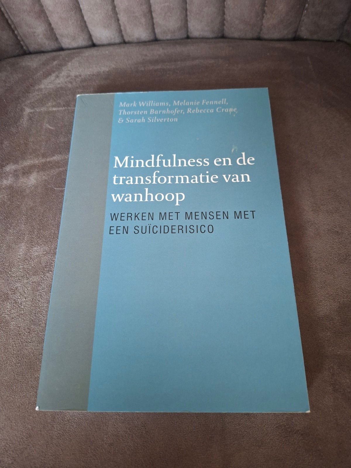 Mindfulness en de transformatie van wanhoop, Ophalen of Verzenden, Zo goed als nieuw, Klinische psychologie