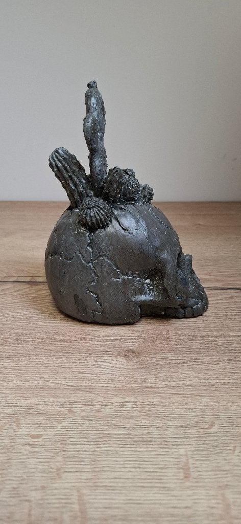 Schedel met Kaktus Beelden Set Antraciet  (Klein & Groot), Ophalen of Verzenden, Nieuw, Mens