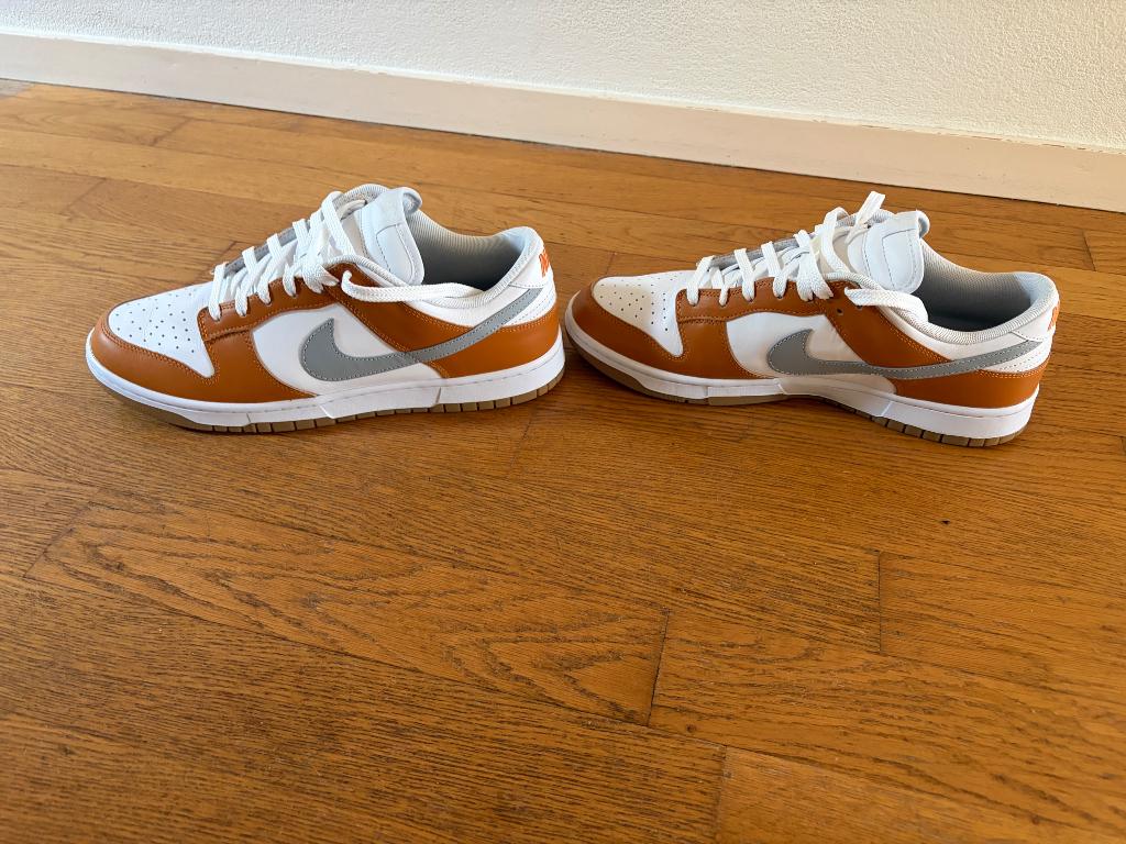 Nike Dunk Low, Ophalen, Wit, Nike, Sneakers of Gympen