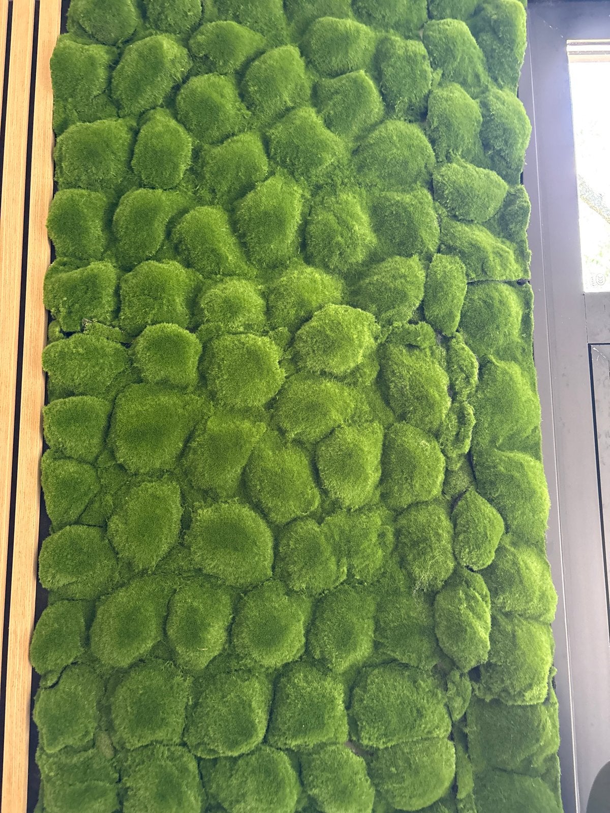 Kunstmoswand voor een groene sfeer, Binnen, Groen, Kunstplant, Nieuw