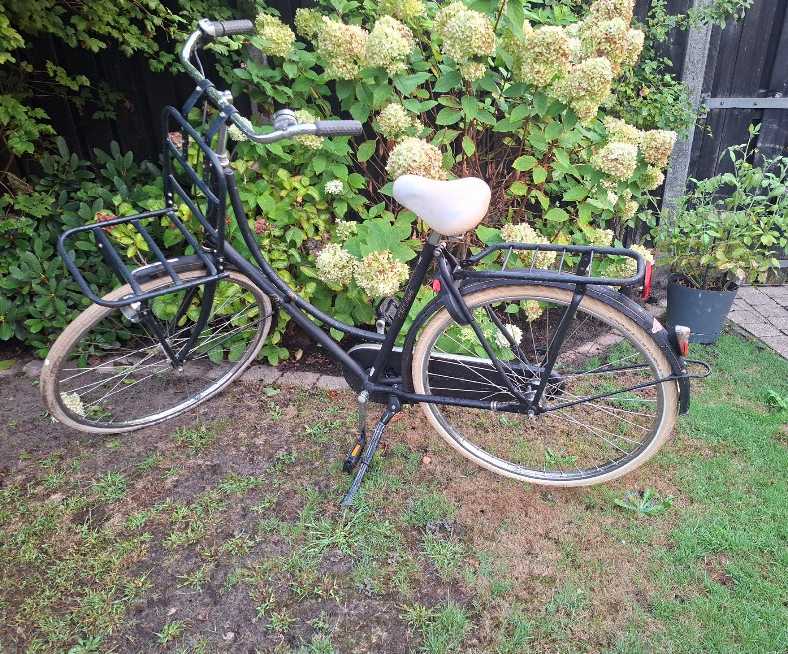 Batavus Damesfiets met lage instap en voordrager, Ophalen, Terugtraprem, Batavus, 53 tot 56 cm