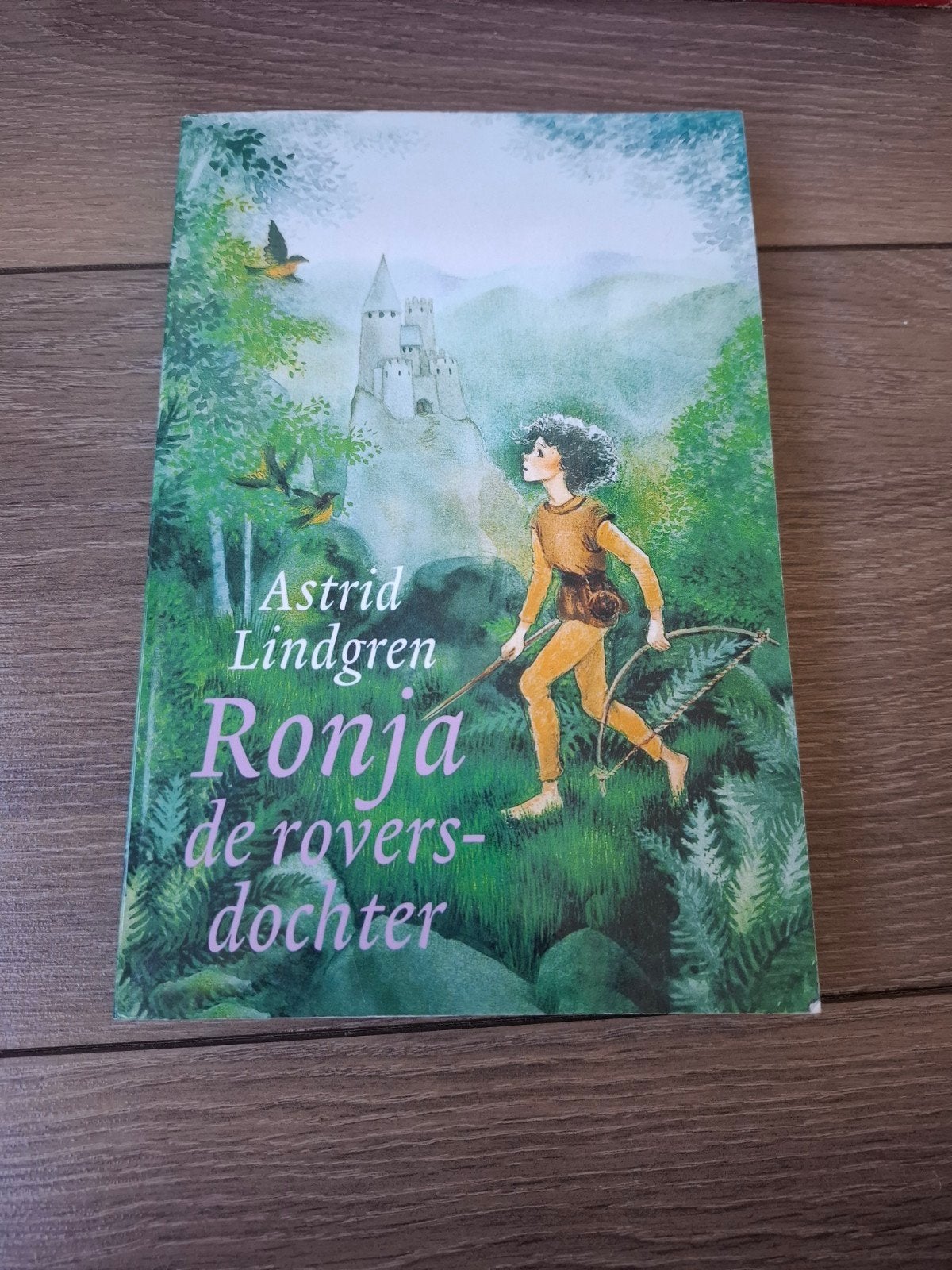 Astrid Lindgren - Ronja de roversdochter, Boeken, Ophalen of Verzenden, Zo goed als nieuw, Astrid Lindgren