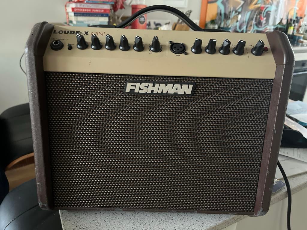 Fishman Loudbox Mini Akoestische Gitaarversterker, Ophalen of Verzenden, Zo goed als nieuw, Gitaar, 50 tot 100 watt