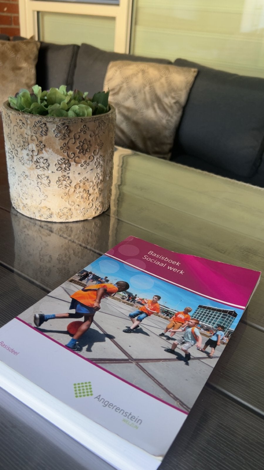 Basisboek Sociaal werk - Edu Actief, Boeken, Ophalen, Gamma, Zo goed als nieuw, MBO