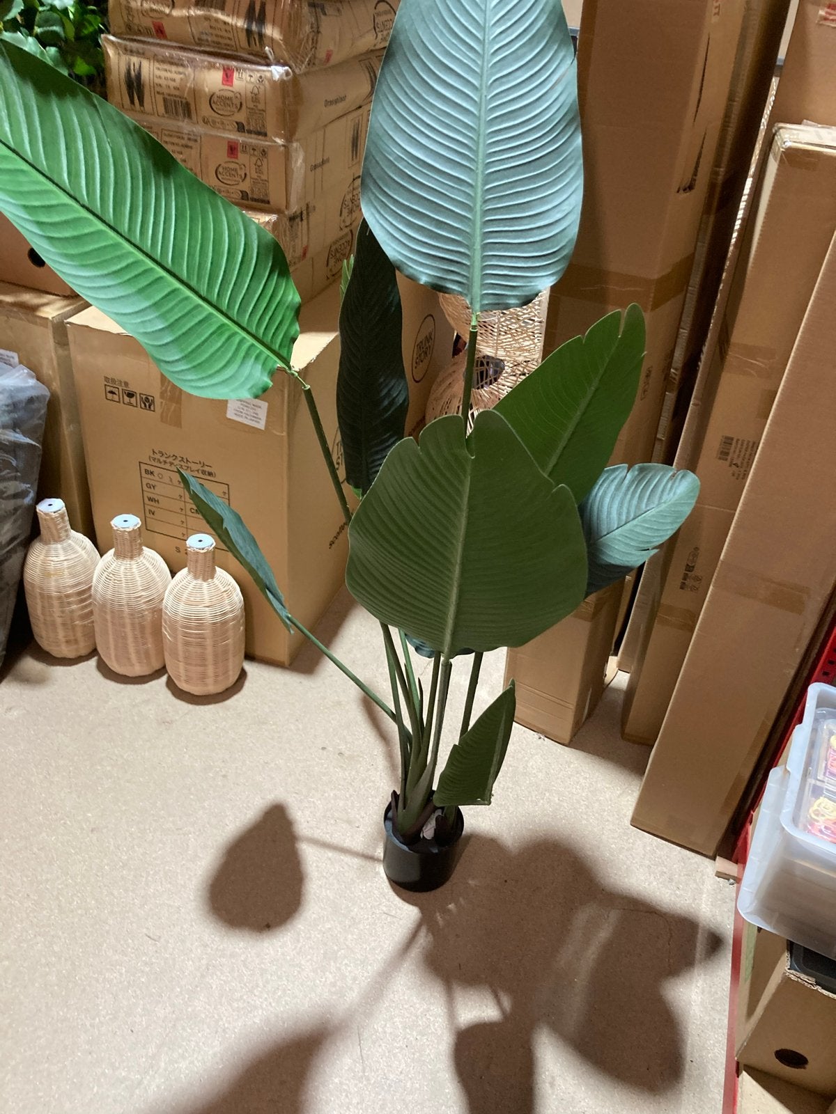 Diverse kunstplanten: Strelitzia, Palm & Besneeuwd Boompje, Binnen, Kunstplant, Nieuw, Ophalen of Verzenden